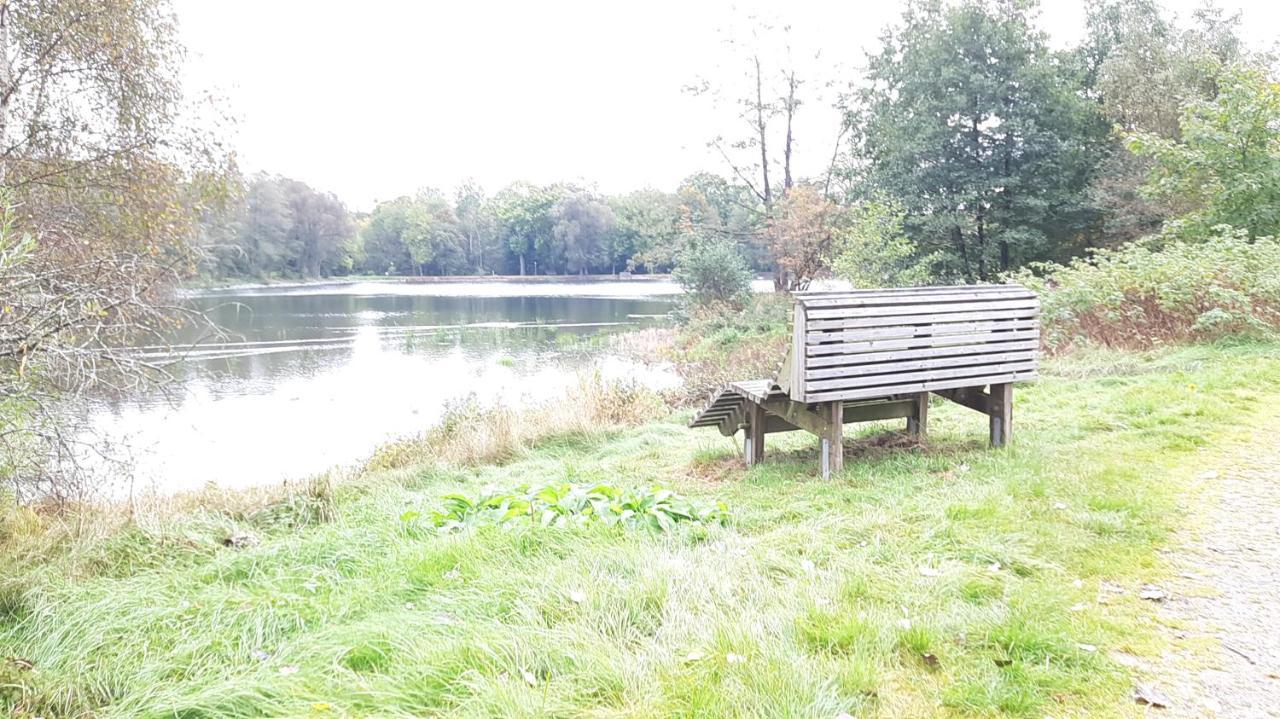 Ferienhaus Am See Lichtenberg Bayern Frankenwaldsee 外观 照片