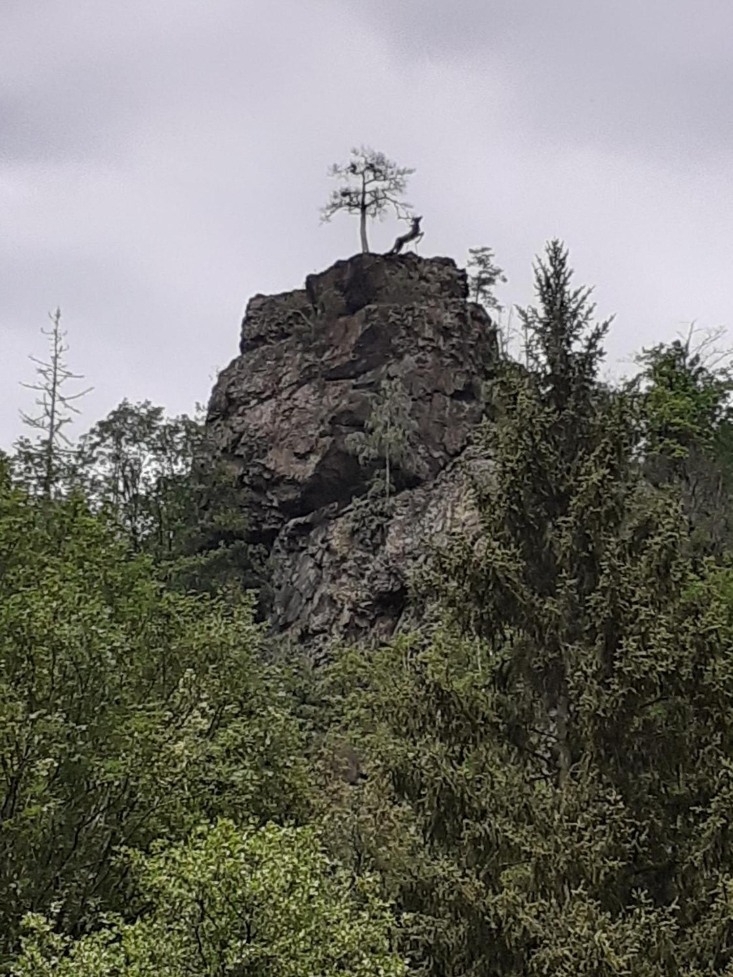 Ferienhaus Am See Lichtenberg Bayern Frankenwaldsee 外观 照片
